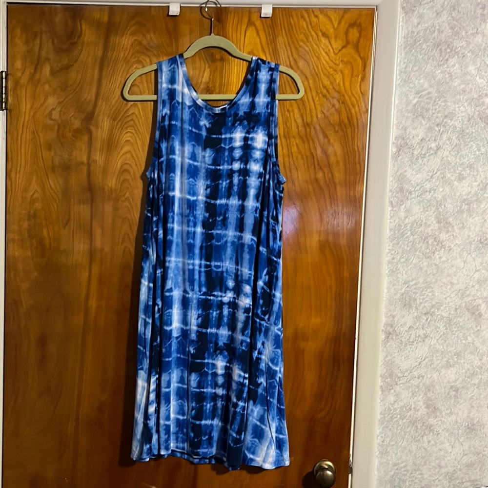 Philosophy Dress 1X